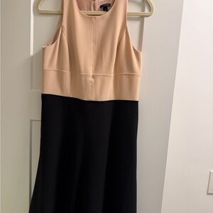 Ann Taylor Peach and Black Midi Dress